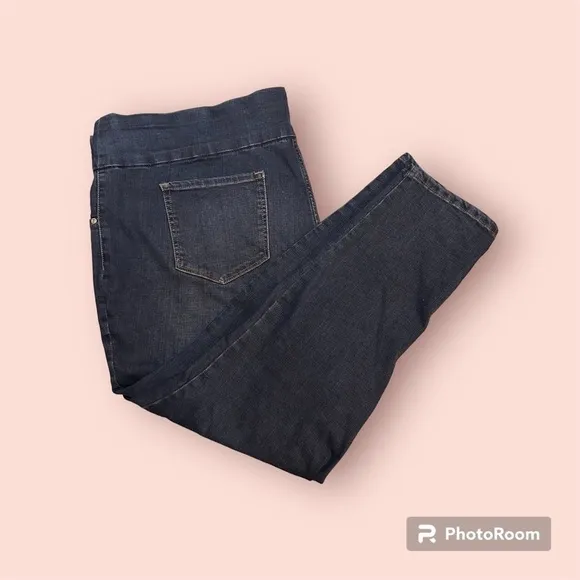 2 Pair Jeans Bundle Lee Women’s Plus 28W Petite