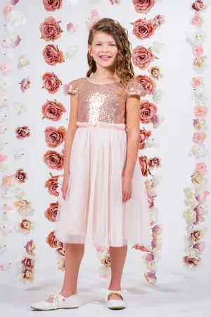410 Sequin Mesh Pleated Dress
