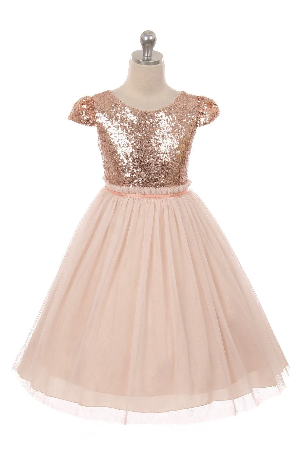 410 Sequin Mesh Pleated Dress