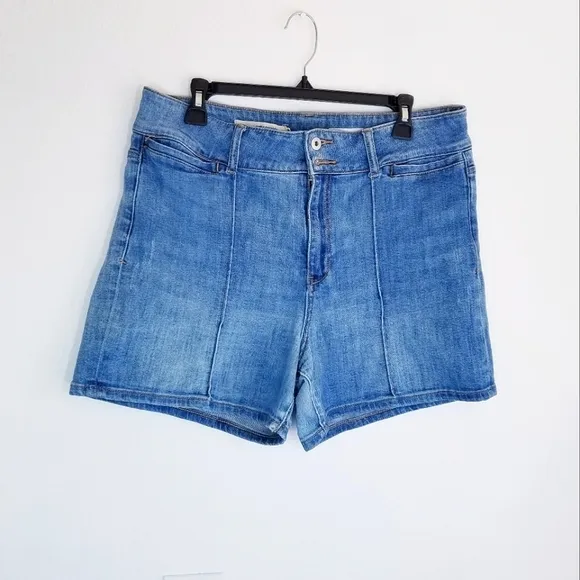Anthropologie | High Waist Denim Shorts 32