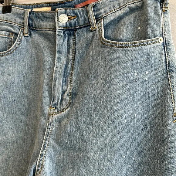 Anthropologie Pilcro The Column Straight Jeans