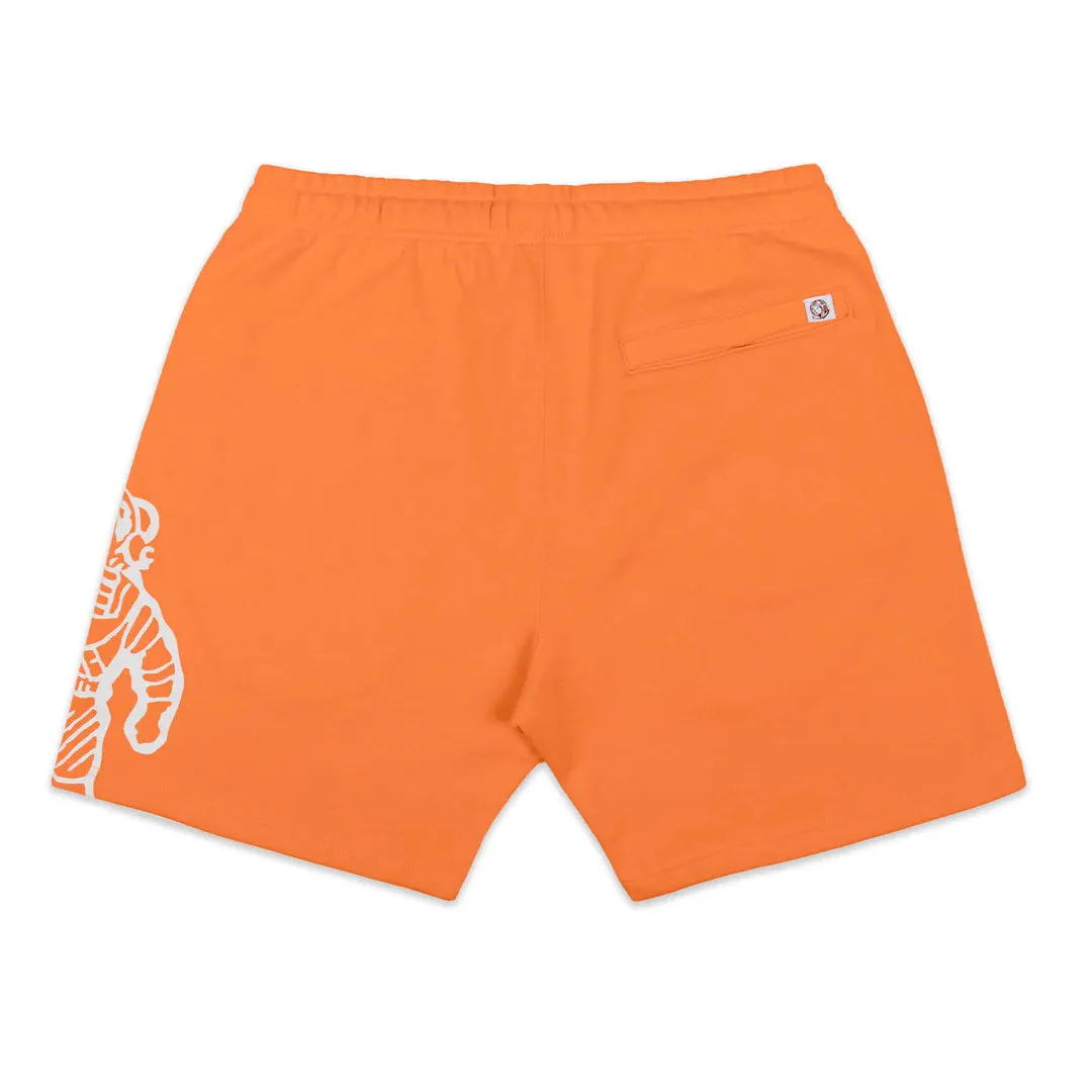 Astro Shorts - Carrot
