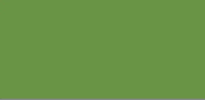 Avocado TD