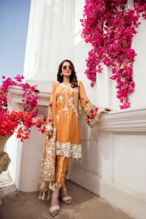 Beutifull chiffon dress by imrozia in rust orange gold color Model # C 1222