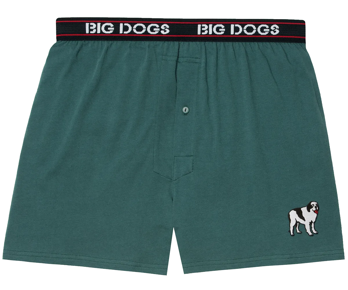 Classic Solid Logo Boxers