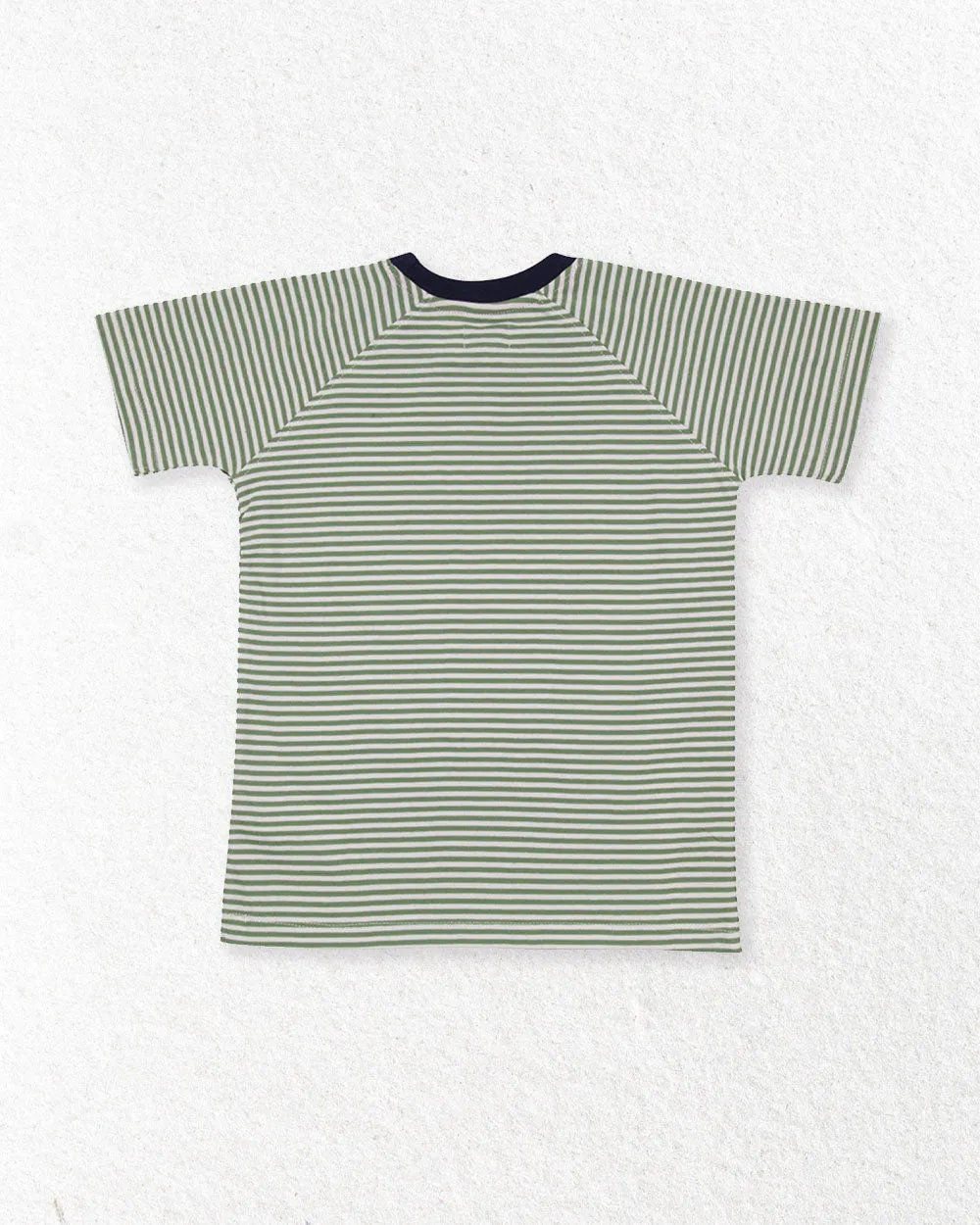 Green Dinosaur Applique Top