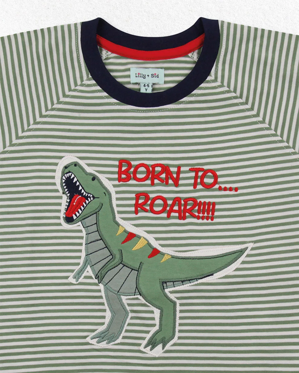 Green Dinosaur Applique Top