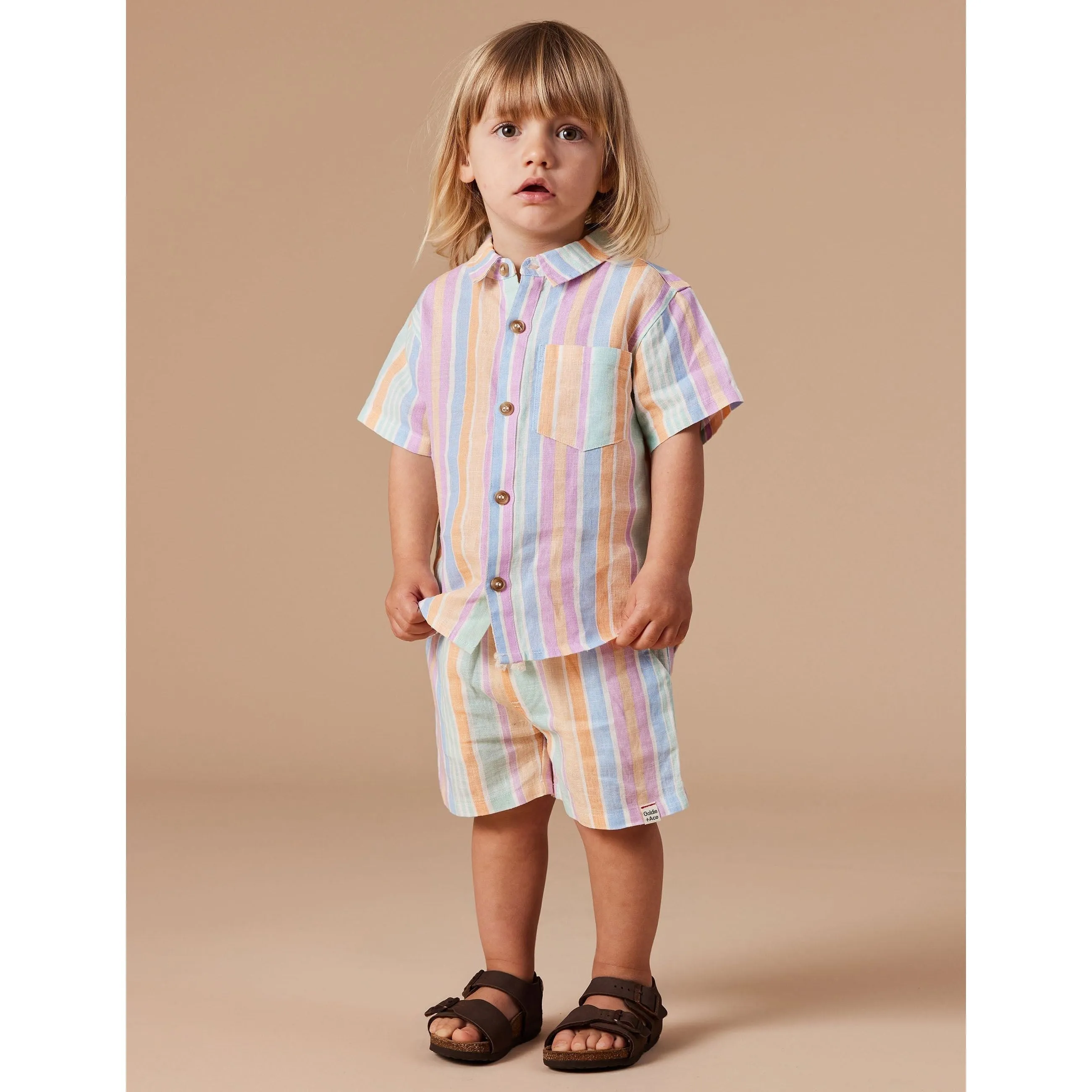 Holiday Linen Shirt - Pastel Stripe