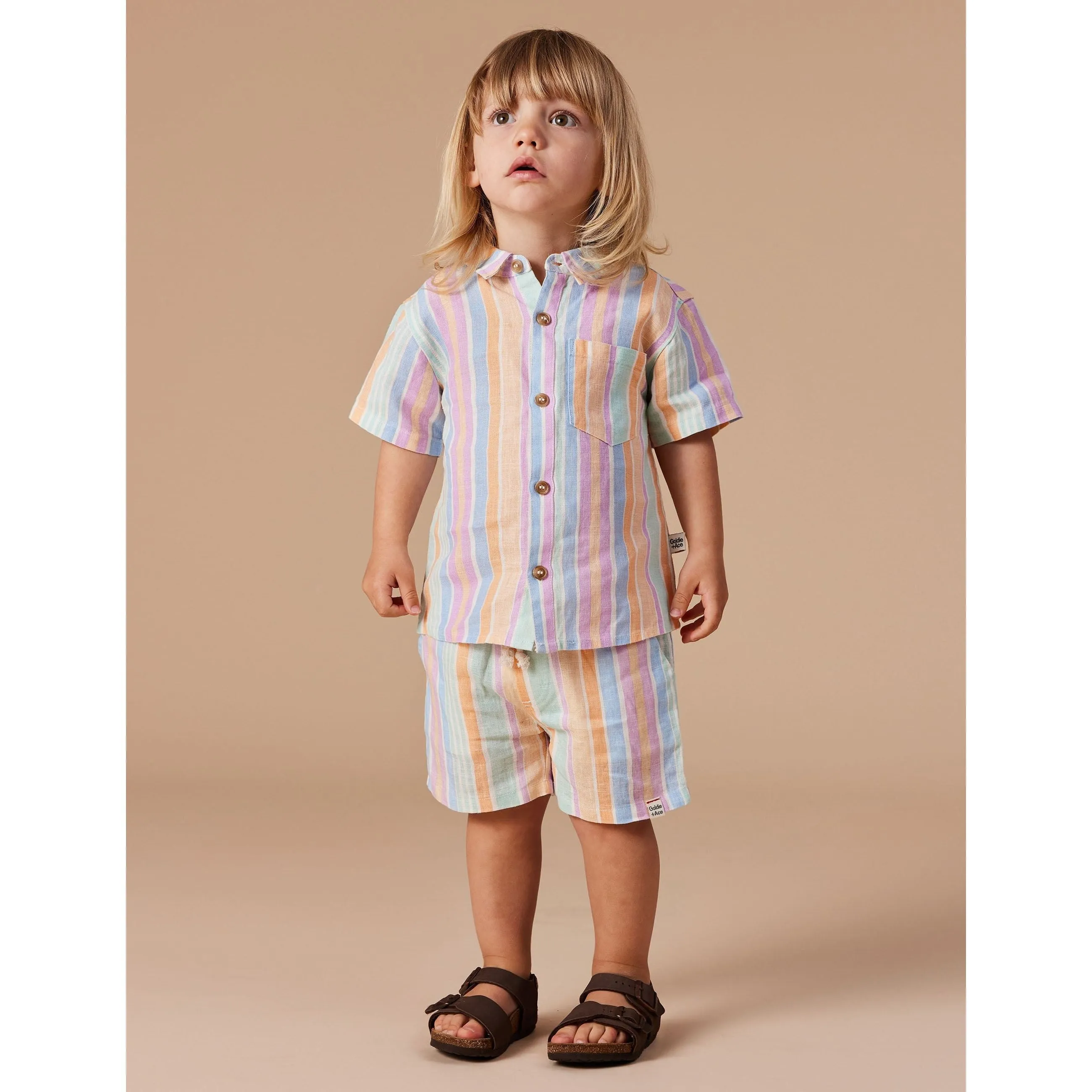Holiday Linen Shirt - Pastel Stripe