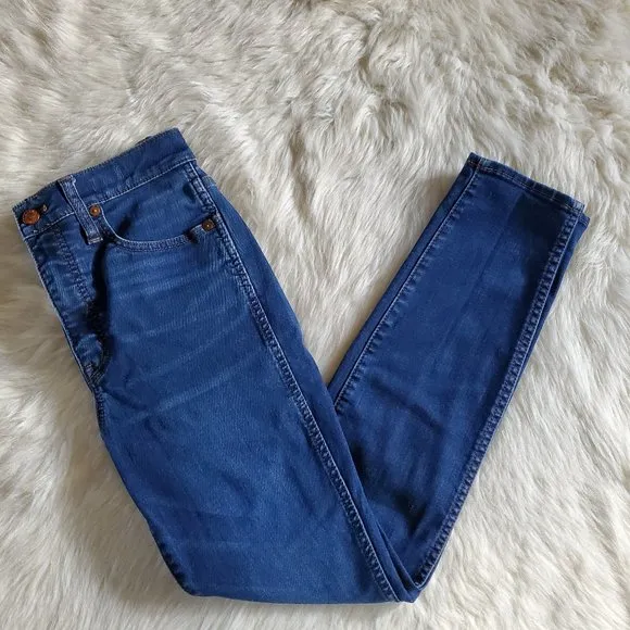 Madewell 10 Inch High Rise Skinny Jeans in Tarren Wash Thermolite Size 27