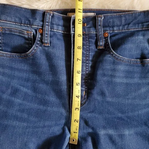 Madewell 10 Inch High Rise Skinny Jeans in Tarren Wash Thermolite Size 27