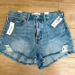 NWT Aritzia The Ex Boyfriend Denim Shorts