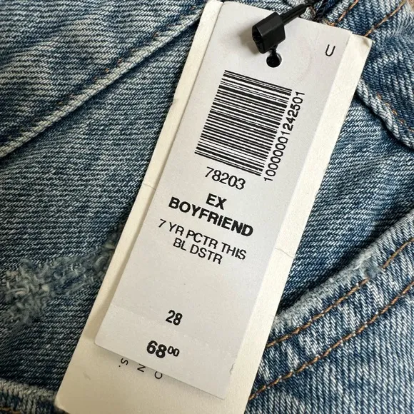 NWT Aritzia The Ex Boyfriend Denim Shorts