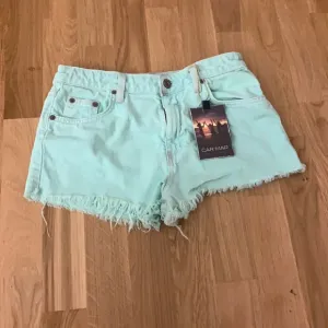 NWT Carmar mint green denim distressed shorts