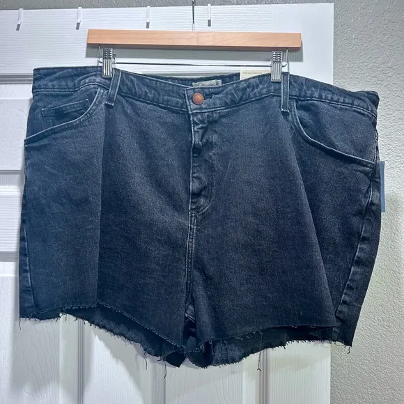 NWT Universal Threads Denim Plus Size Size Shorts