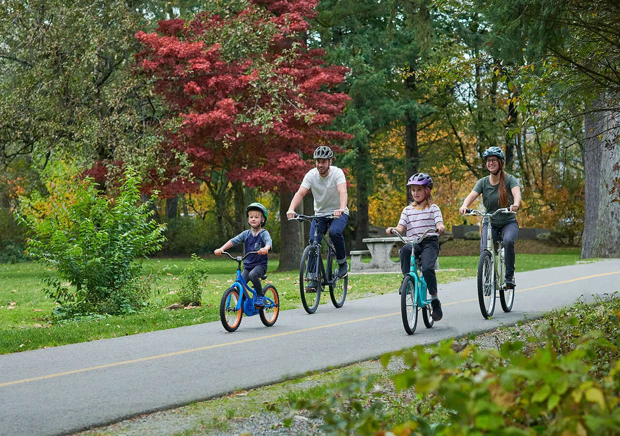 Sunrise - Youth Cruiser Bike (20")