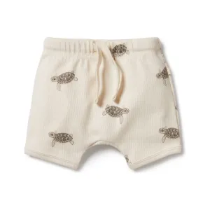 Tiny Turtle Organic Tie Front Short