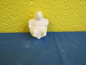 Turtle - On Back