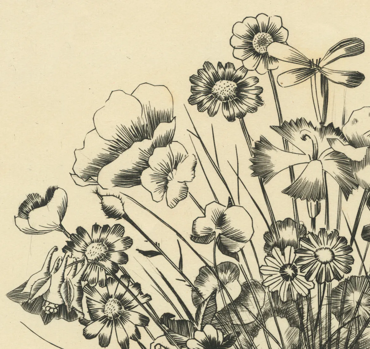 Wildflowers